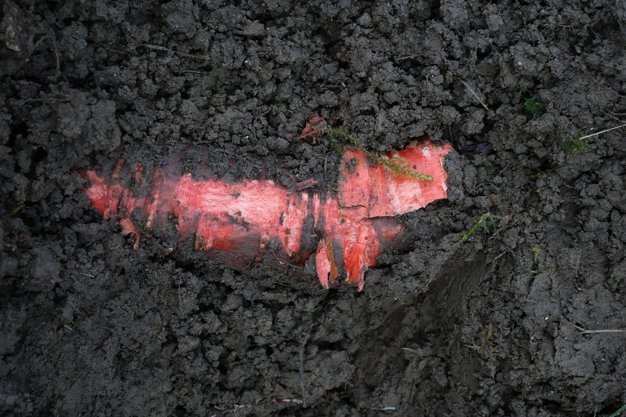 Carote deformate che evidenziano problemi nel terreno agricolo.