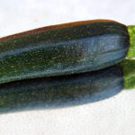 Zucchine grigliate dorate su una griglia, pronte da servire con spezie e aromi.