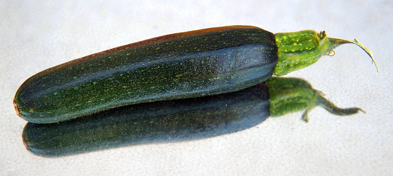 Zucchine grigliate dorate su una griglia, pronte da servire con spezie e aromi.
